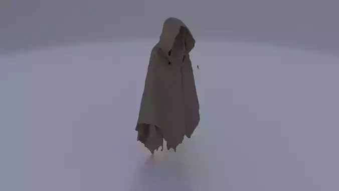 Dread Cloak 3D model
