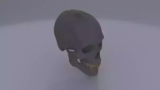 Skull mask 3D model