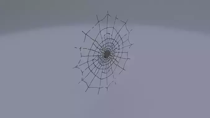 spider web 3D model