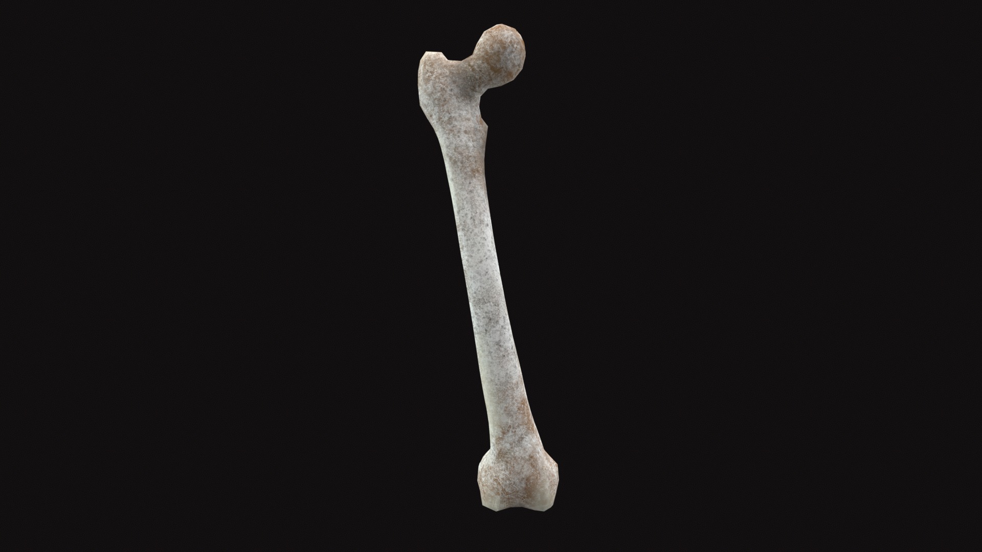 Medieval Femur Bone Low-poly 3D model_3
