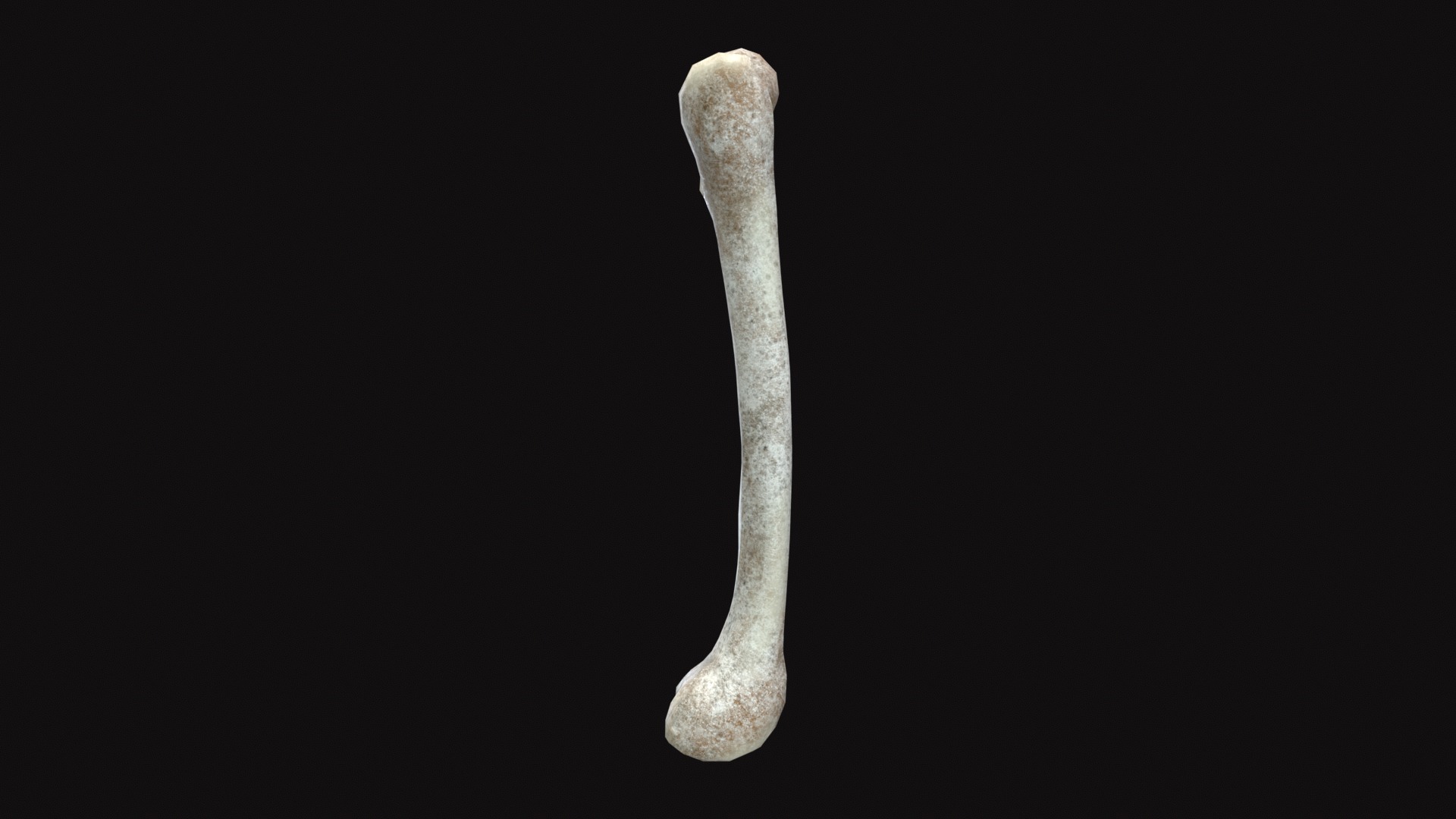 Medieval Femur Bone Low-poly 3D model_7