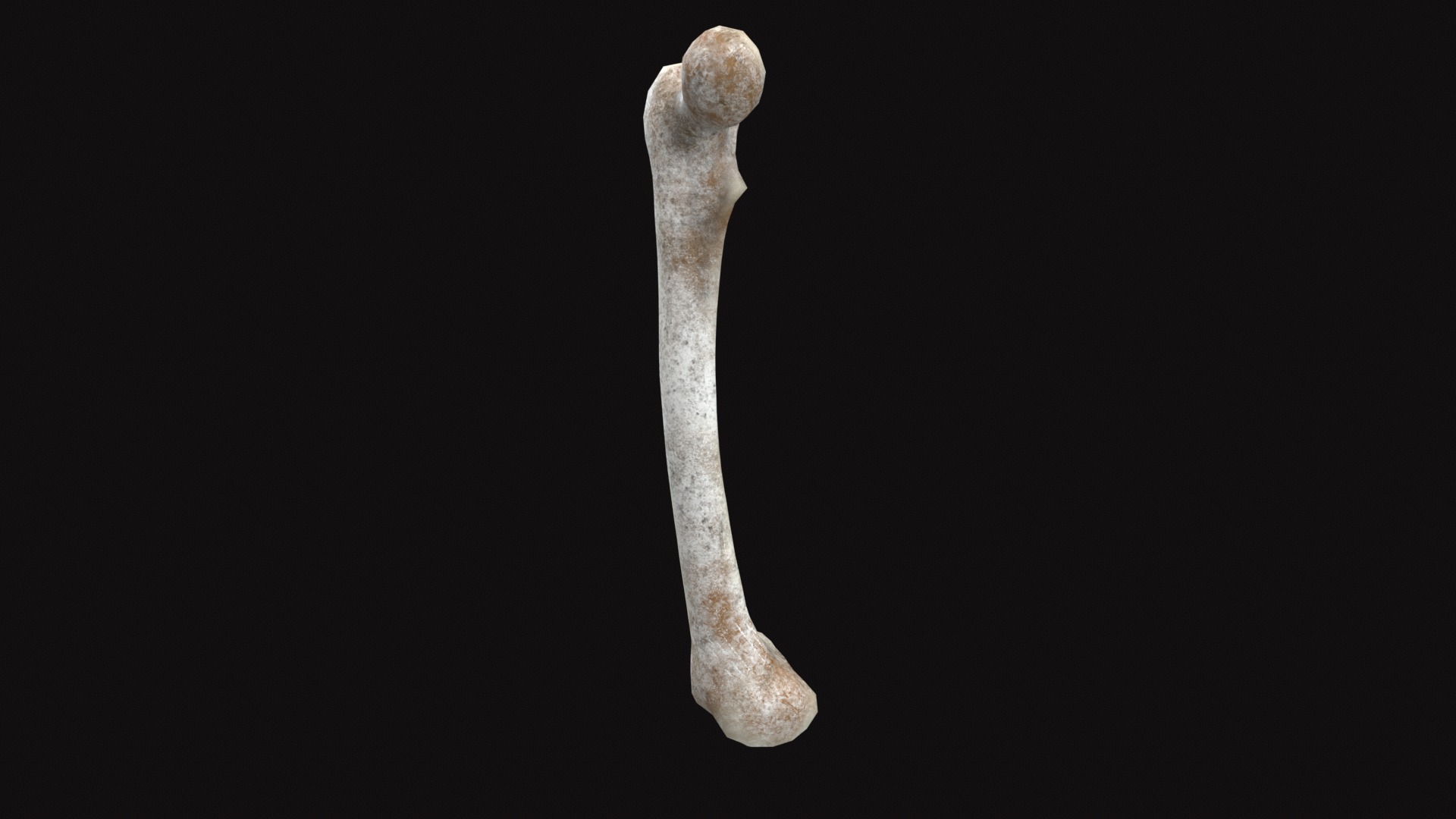 Medieval Femur Bone Low-poly 3D model_2