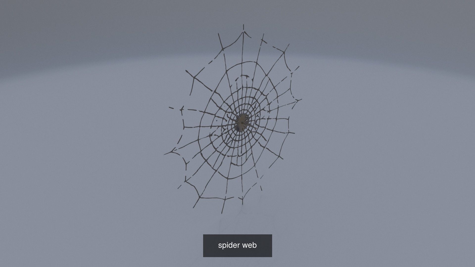 Halloween items 3D Model Collection_13