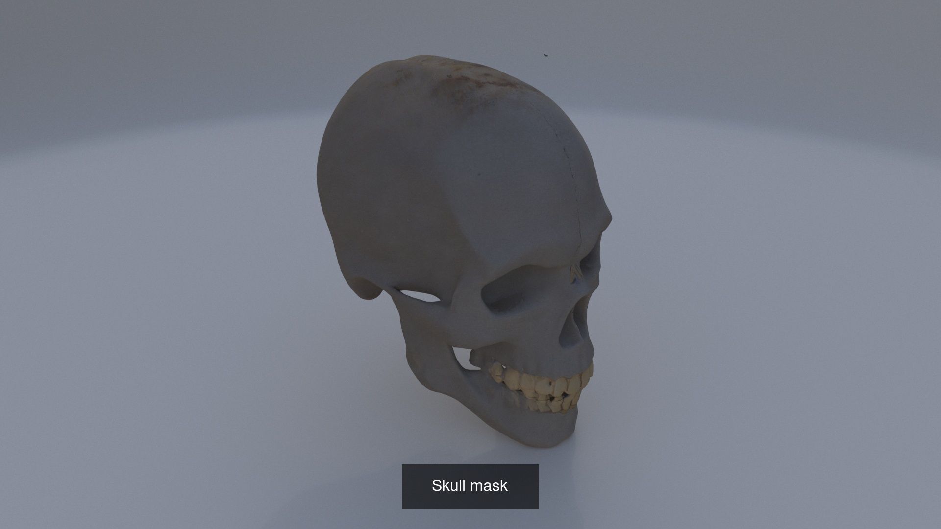 Halloween items 3D Model Collection_12