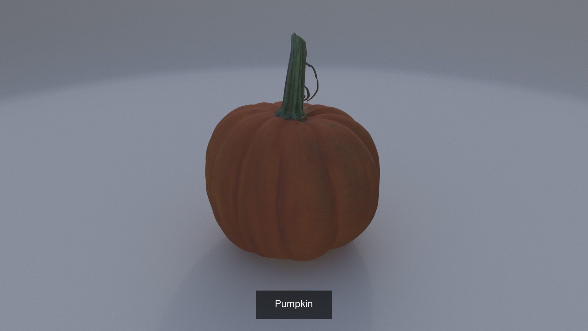 Halloween items 3D Model Collection_10