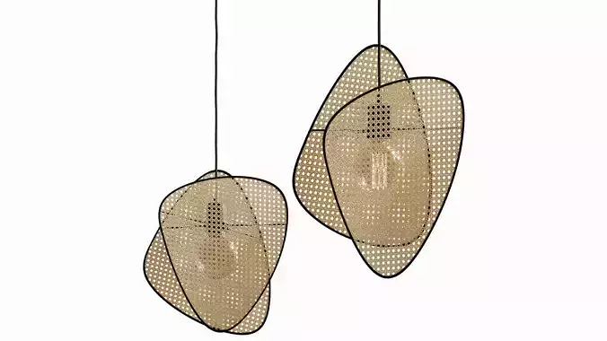Pendant light cannage