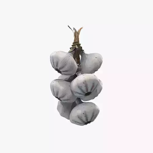 Medieval Hanging Garlic