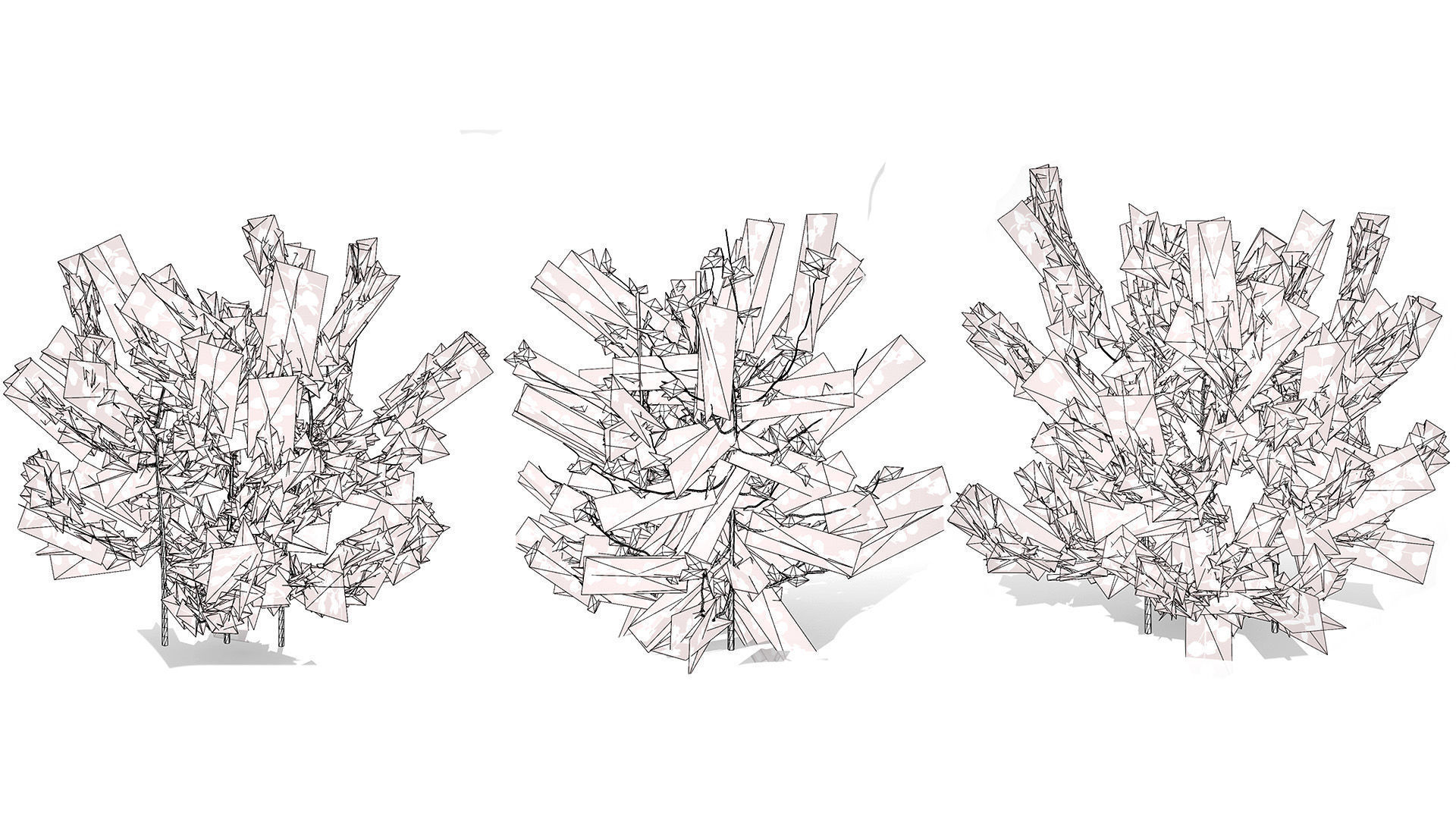 Cotton Plant 3D Model Low-poly 3D model_10