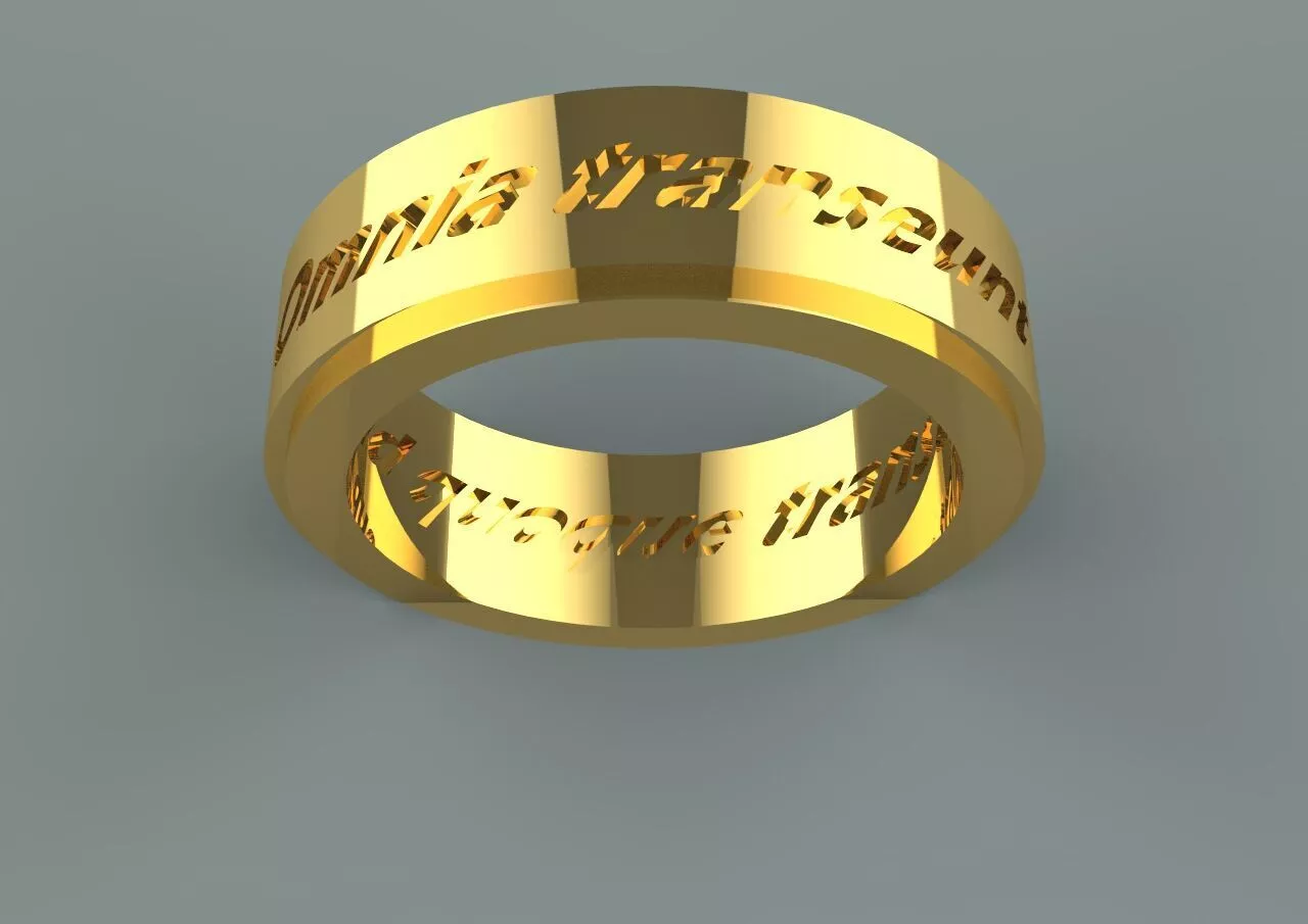 Omnia transeunt Et id quoque transeat 3D print model