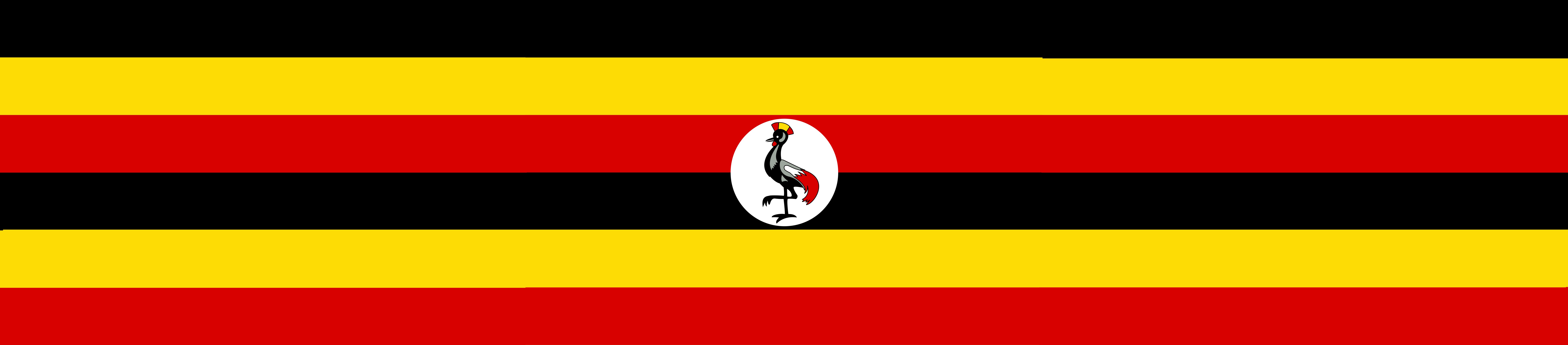 Uganda Flag on Double spiral helix structure 3D model_33