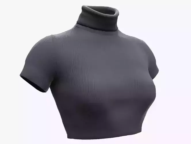 Tshirt 31 - All MH Bodies - UE5 Skeletons - Rigged