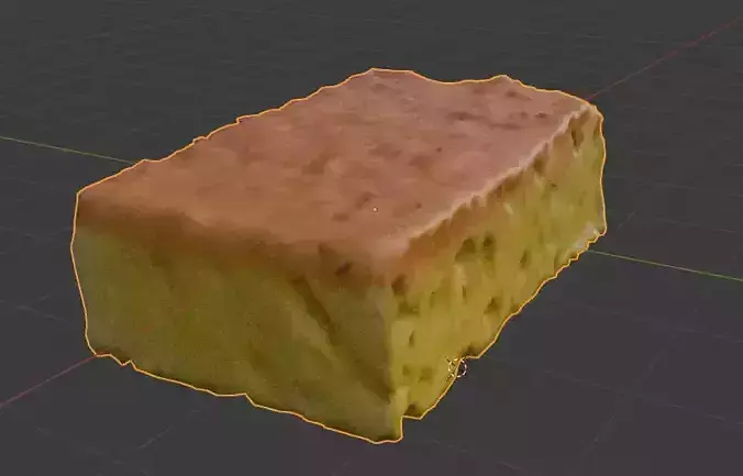 Sponges