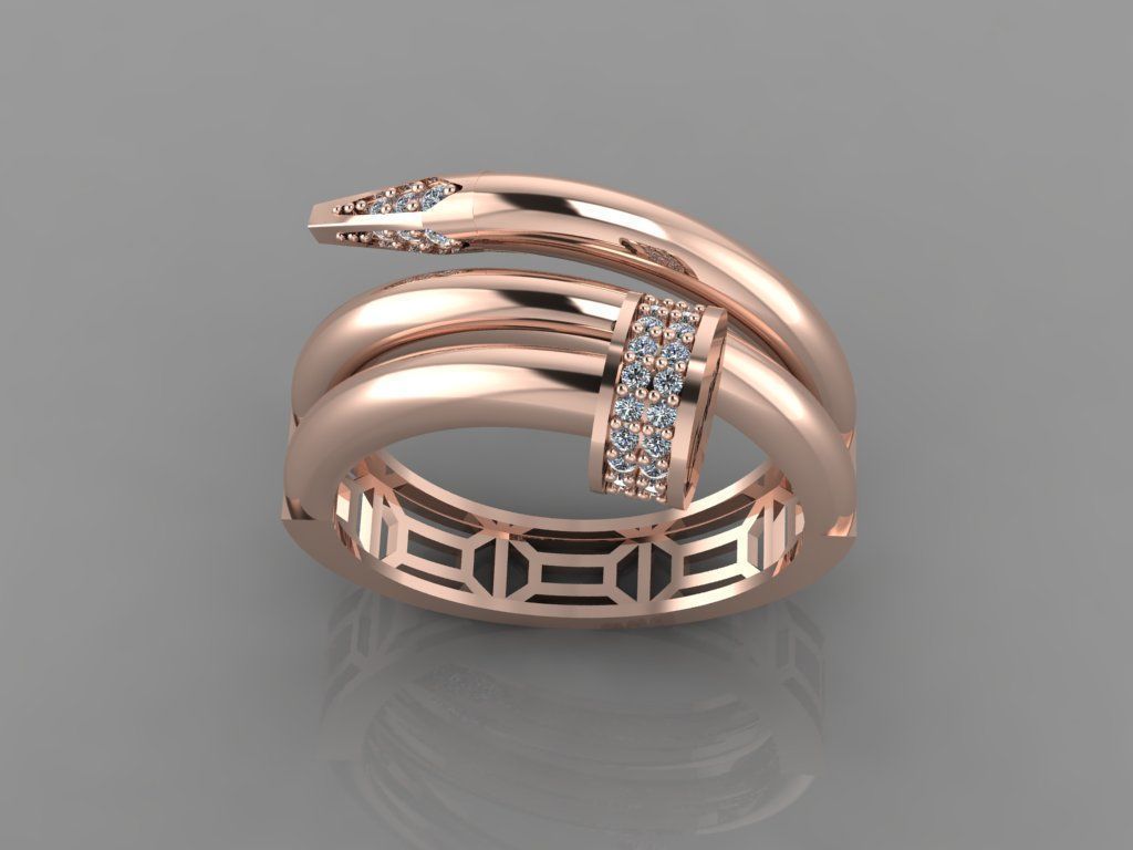 Ring-1 3D print model_1
