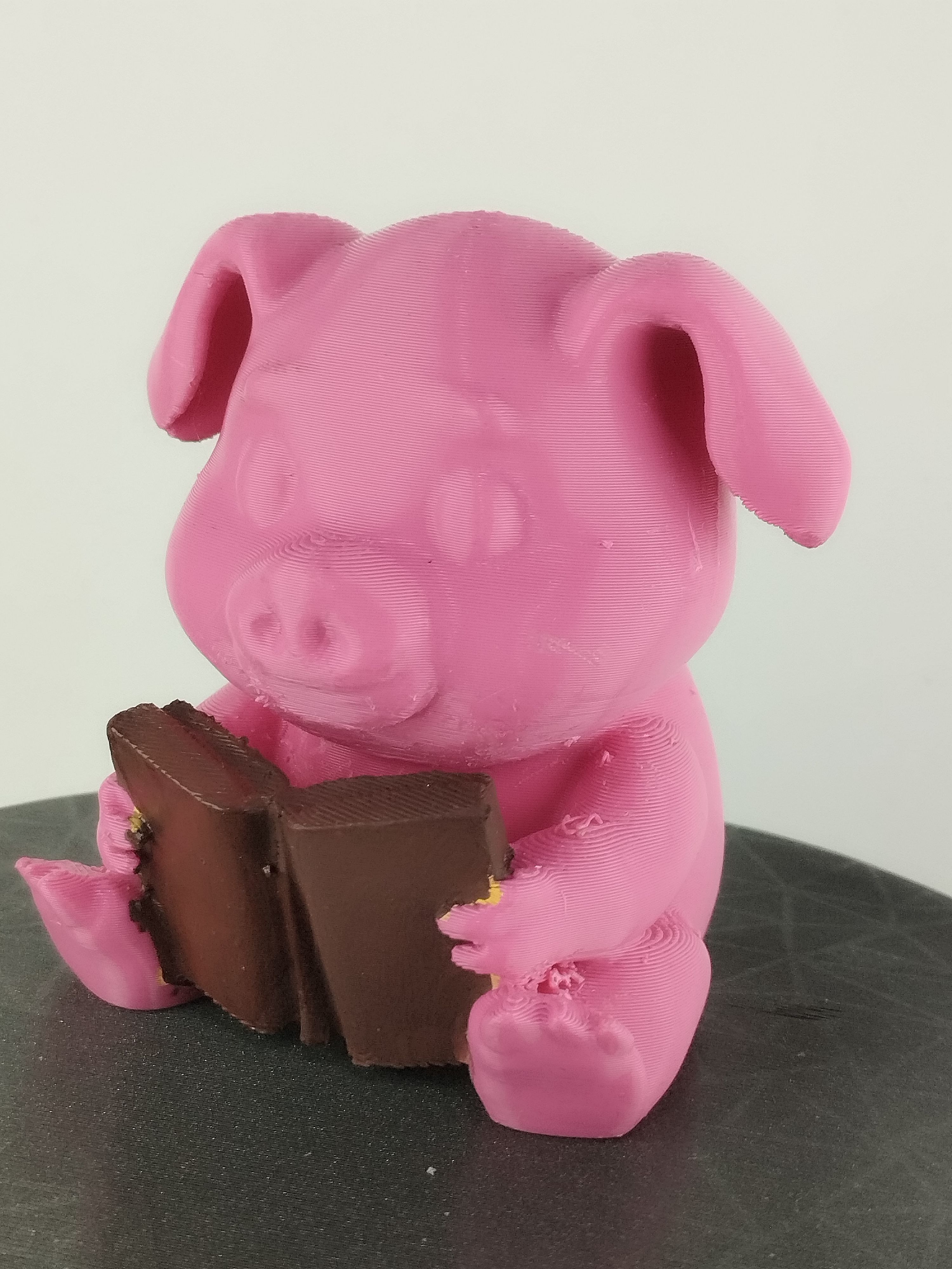 pig reading a book 3D print model_5