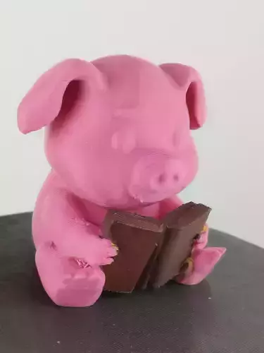 pig reading a book 