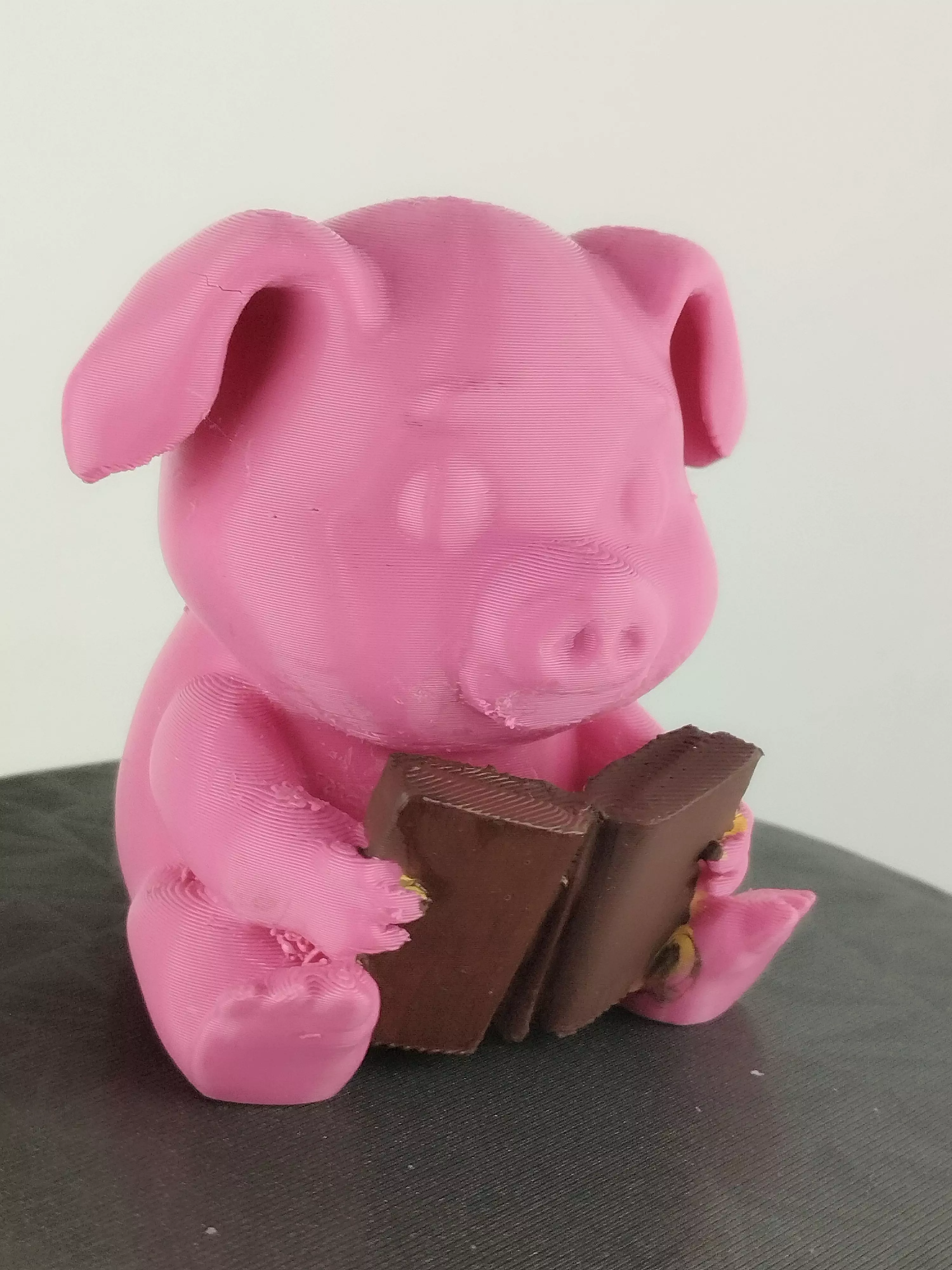 pig reading a book 3D print model_0