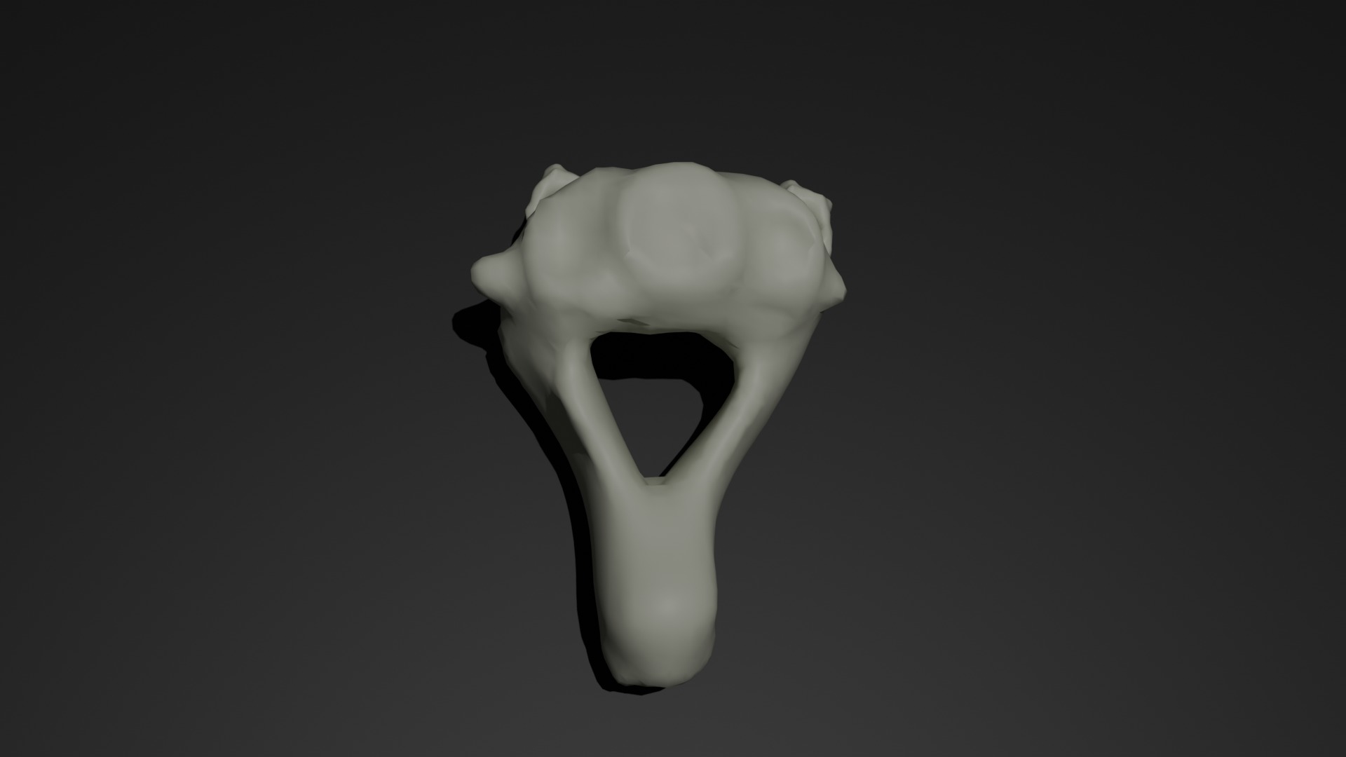 cervical vertebra 3D model_2