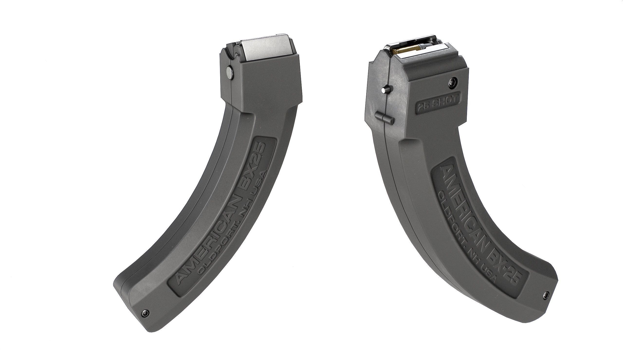 Ruger 10 22 Tactical Takedown Low-poly 3D model_13