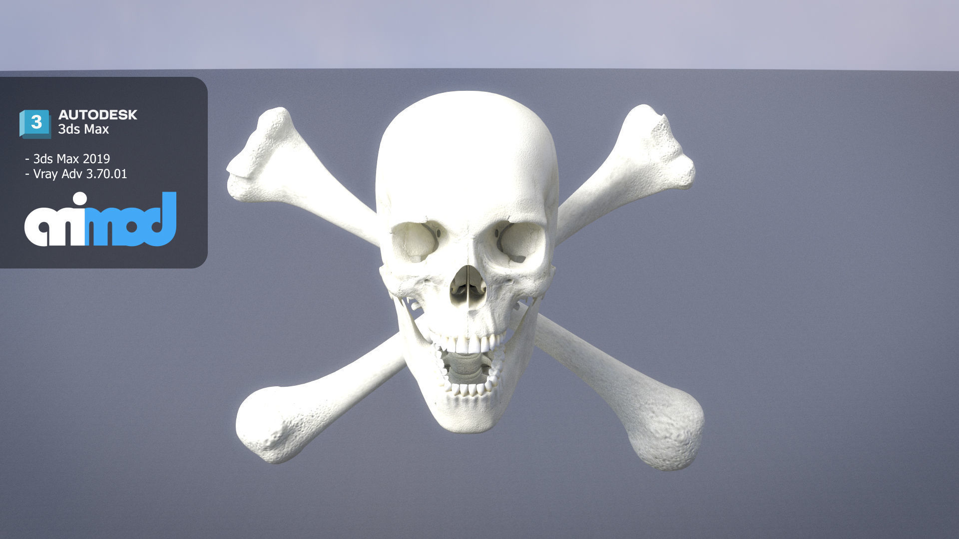 Skull Cross Bones 3D model_3