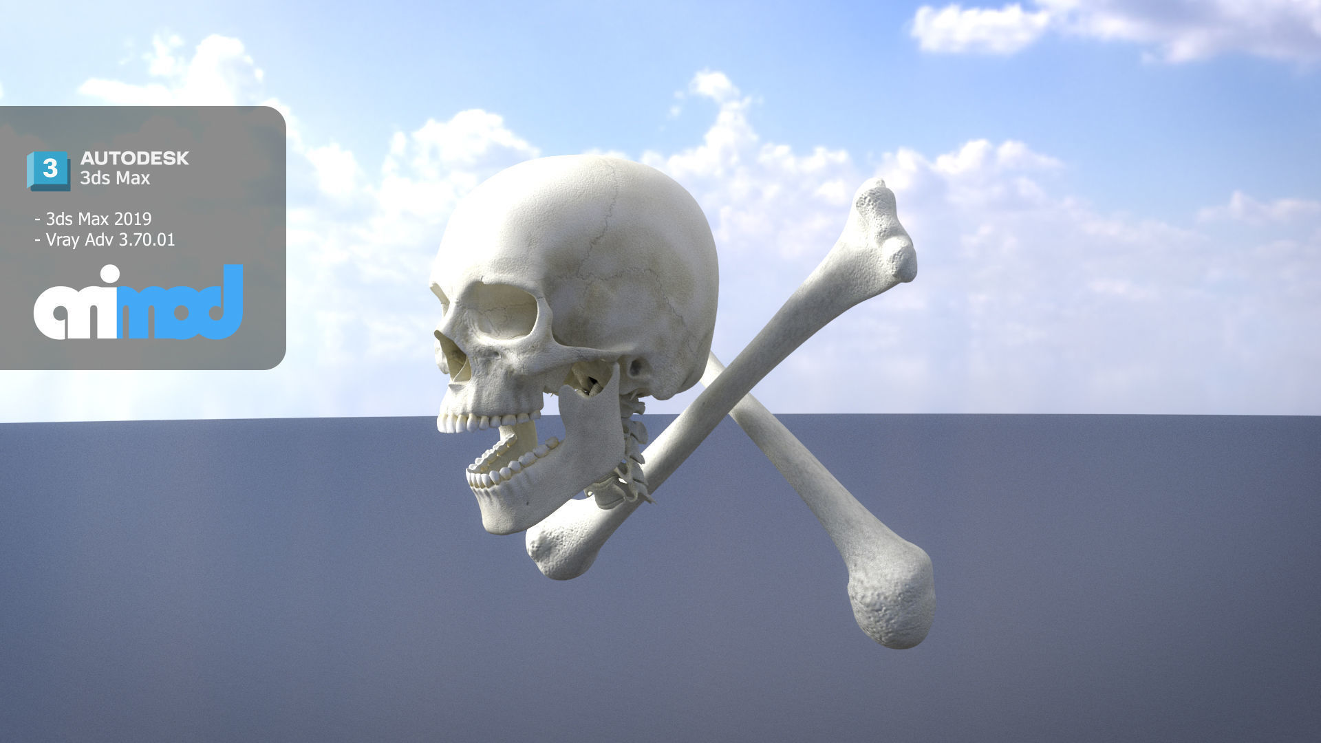 Skull Cross Bones 3D model_2