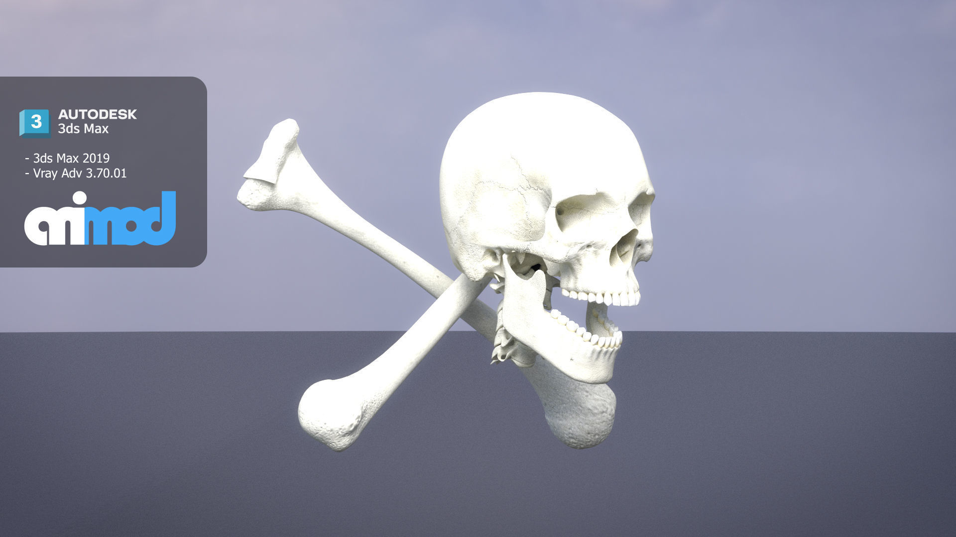 Skull Cross Bones 3D model_1