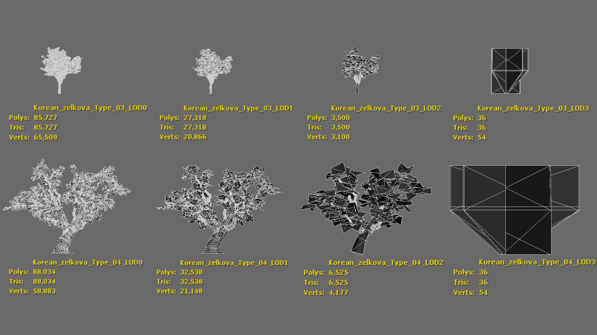 Korean Endemic Species Plant - 4 Korean zelkova Conifer Tree Low-poly 3D model_9