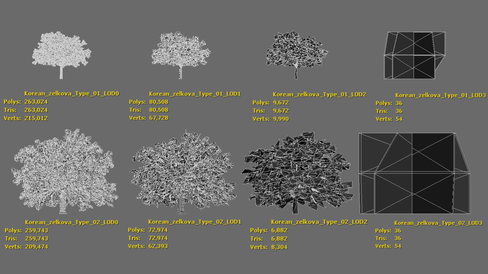 Korean Endemic Species Plant - 4 Korean zelkova Conifer Tree Low-poly 3D model_8