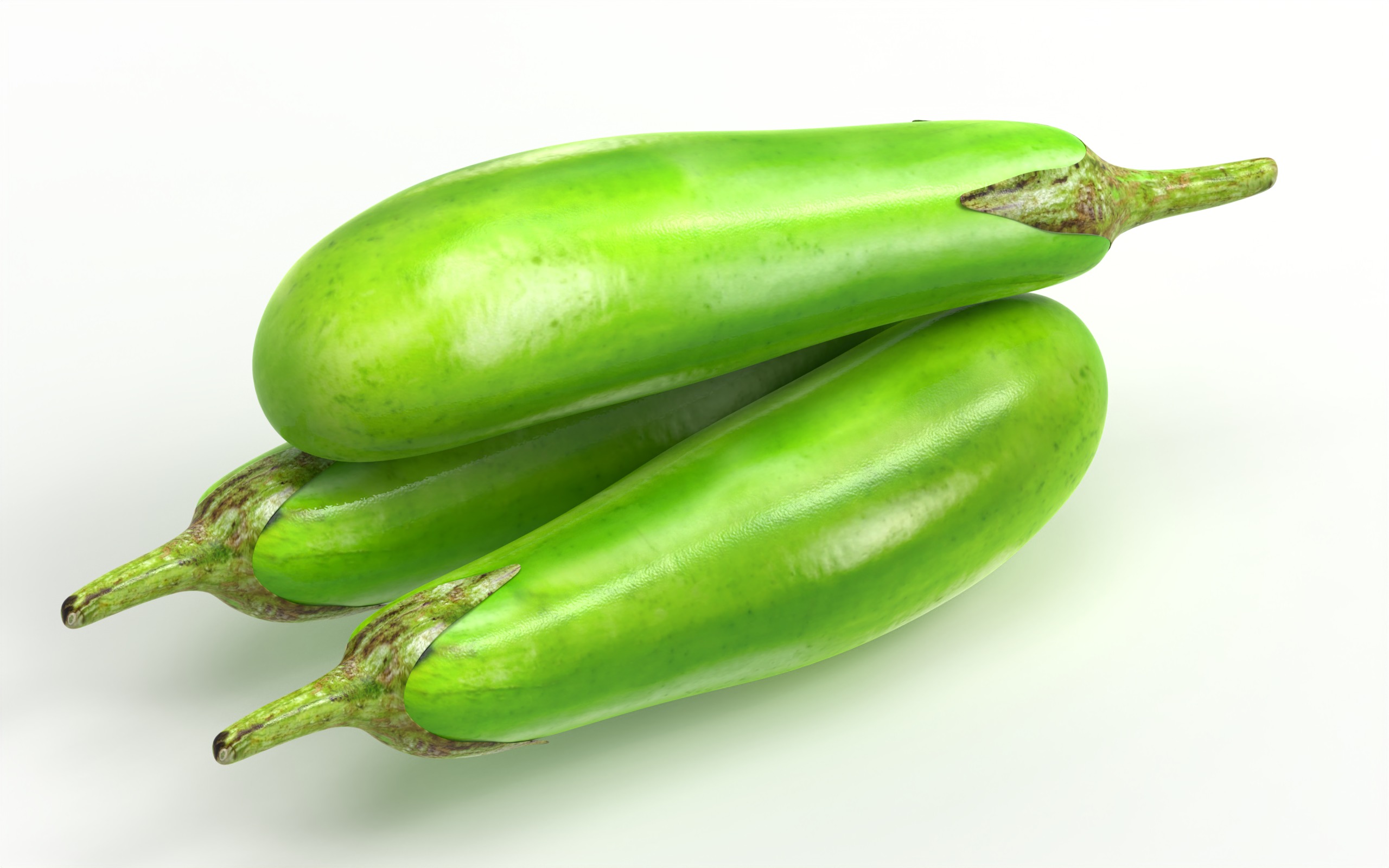 Brinjal Vegetables 3D model_3