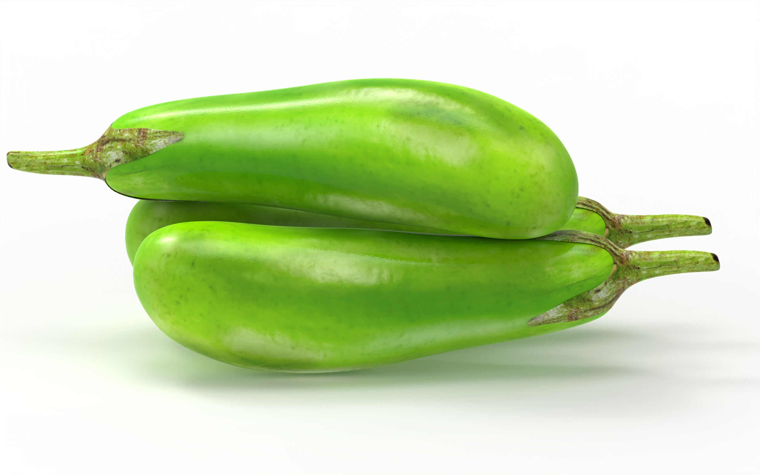 Brinjal Vegetables 3D model_2