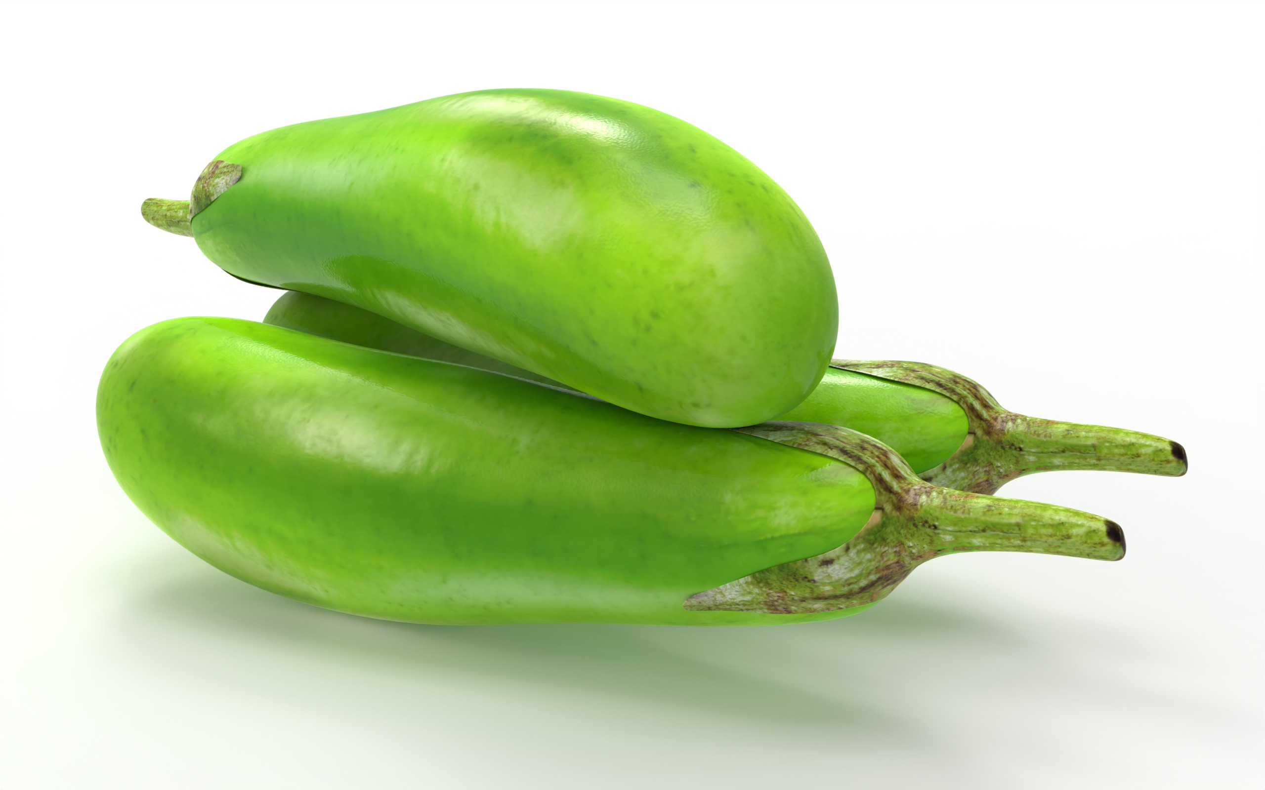 Brinjal Vegetables 3D model_1