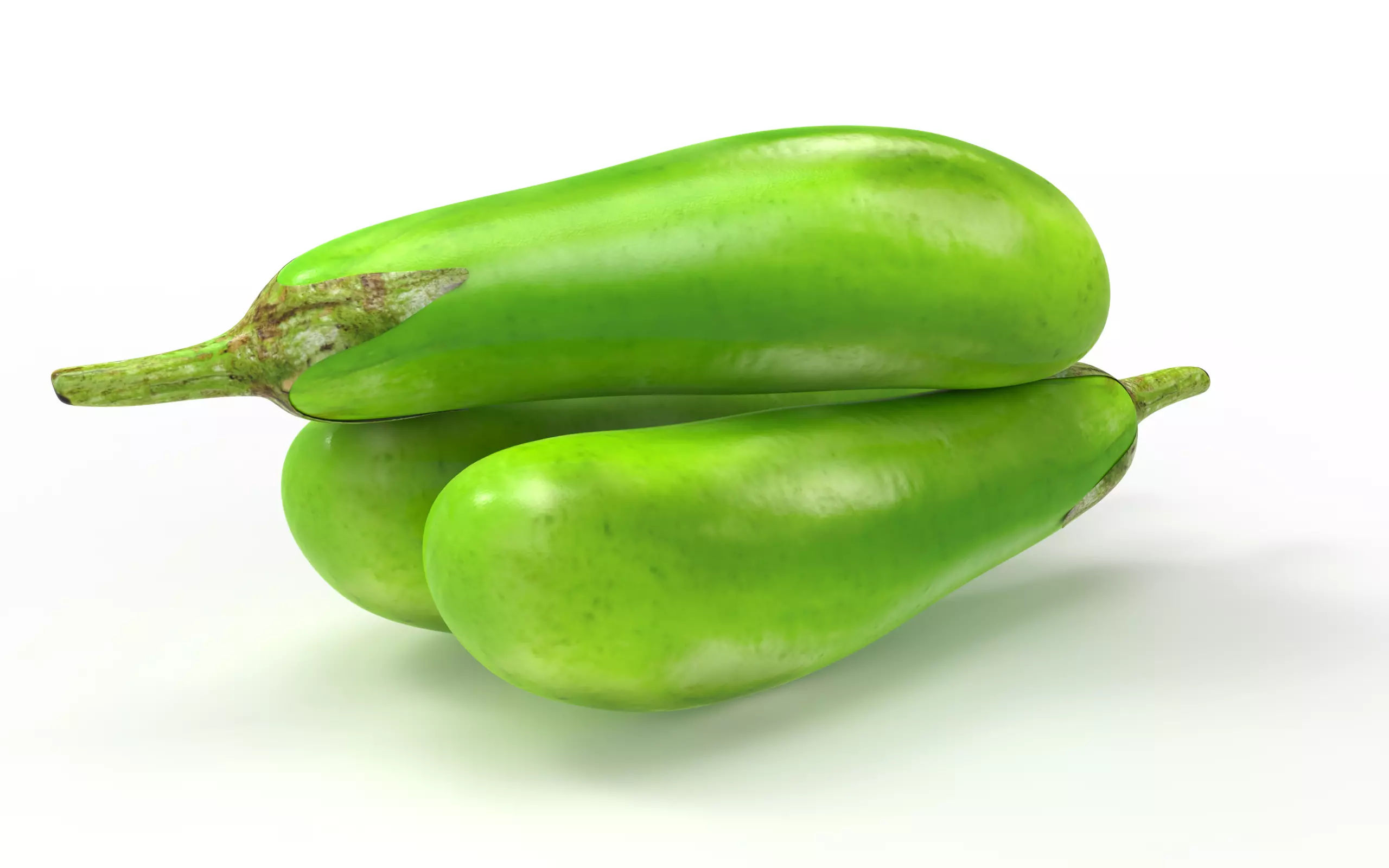 Brinjal Vegetables 3D model_0