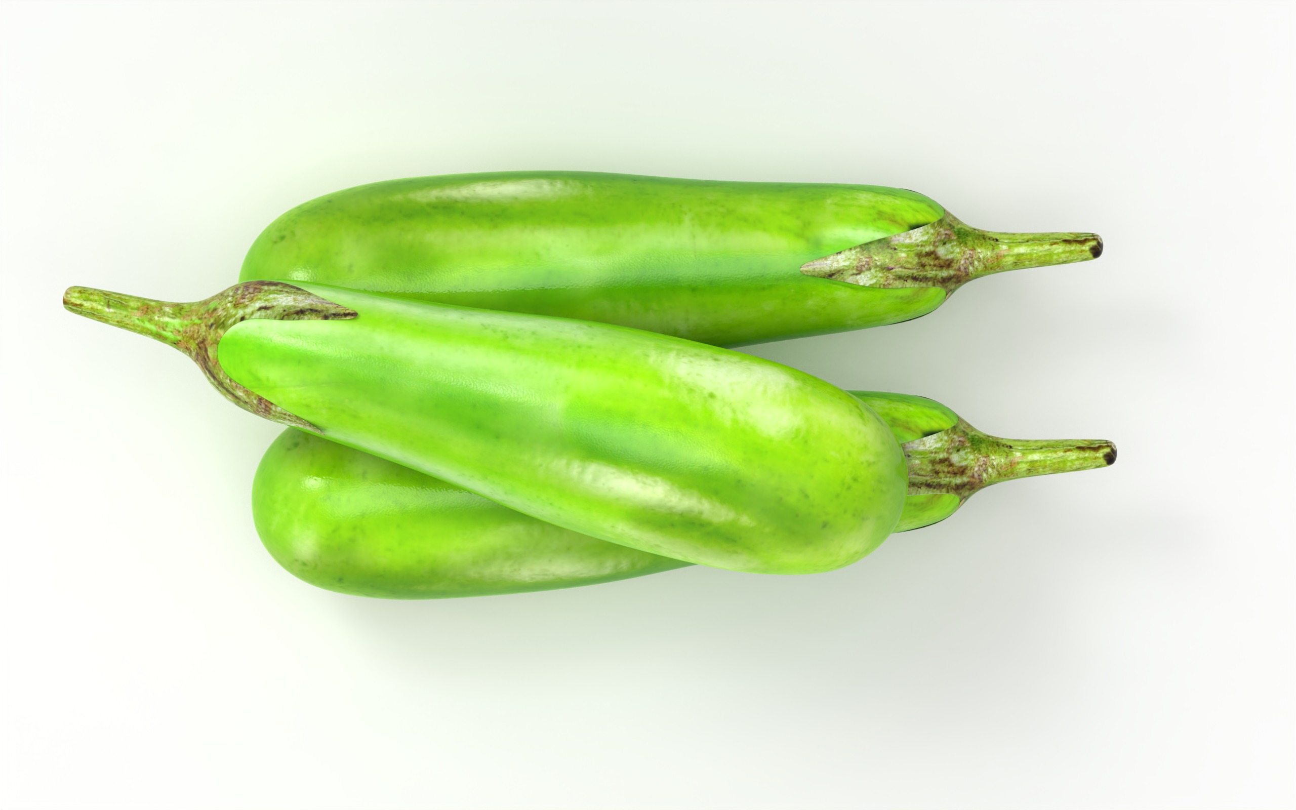 Brinjal Vegetables 3D model_4