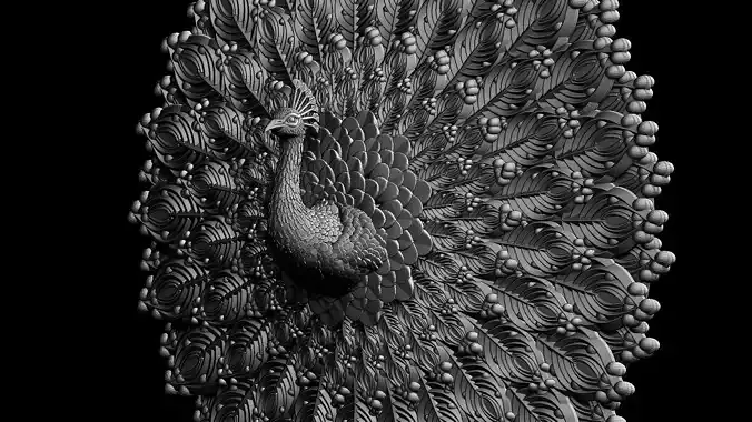 peacock 3D print model
