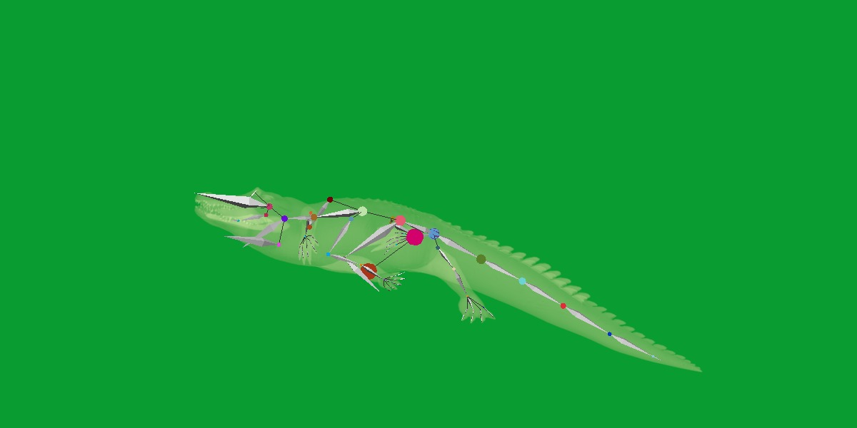 American Alligator Low-poly 3D model_26