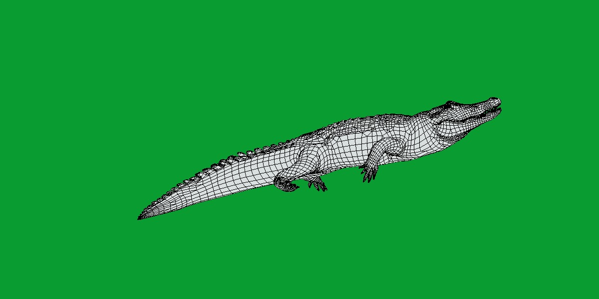 American Alligator Low-poly 3D model_17