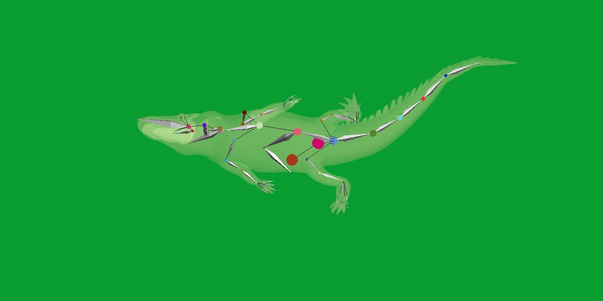 American Alligator Low-poly 3D model_27