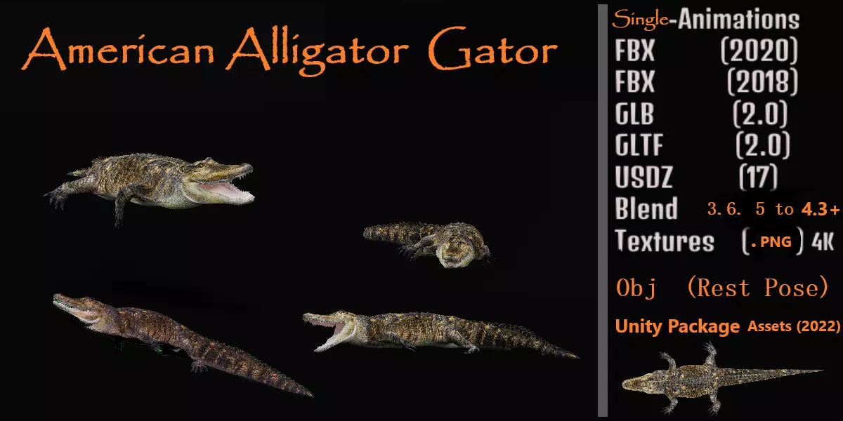 American Alligator Low-poly 3D model_0