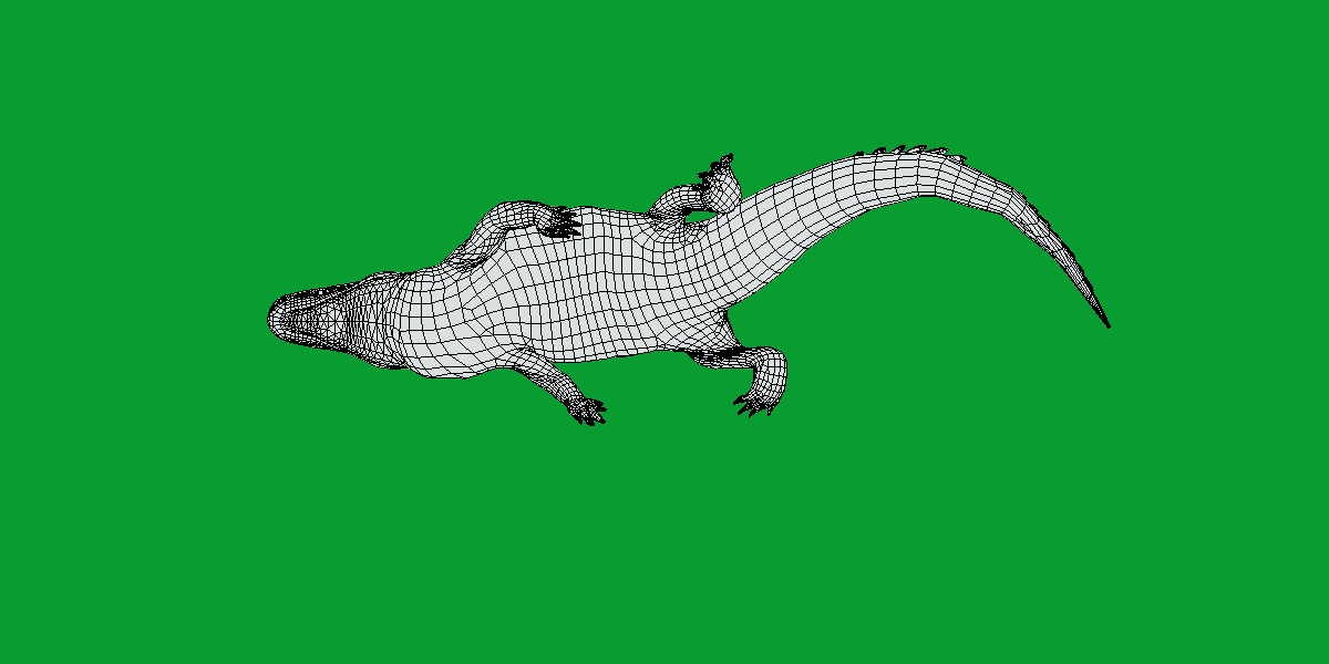 American Alligator Low-poly 3D model_16
