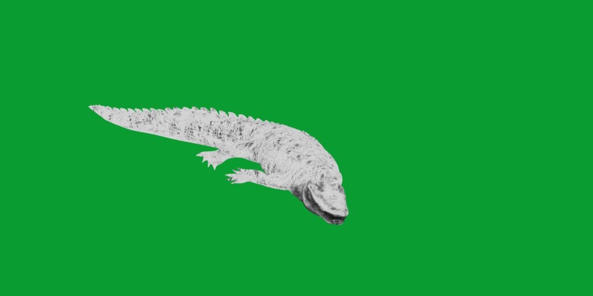 American Alligator Low-poly 3D model_9