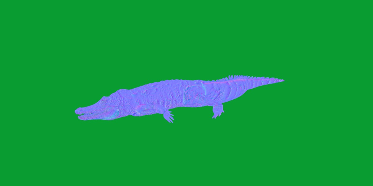 American Alligator Low-poly 3D model_8