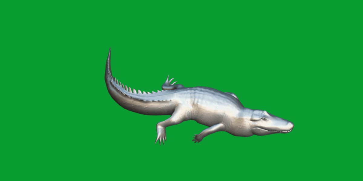 American Alligator Low-poly 3D model_14