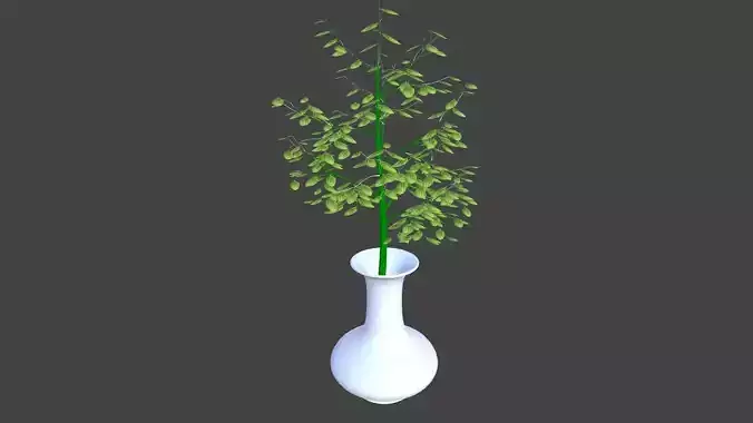 Flowers for Interior