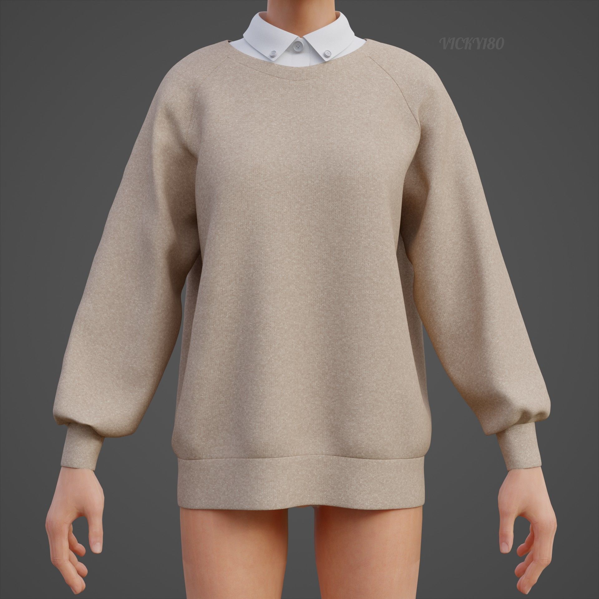 Sweater  and Collared Shirt - Knit Pullover wear formal clothing 3D model_11