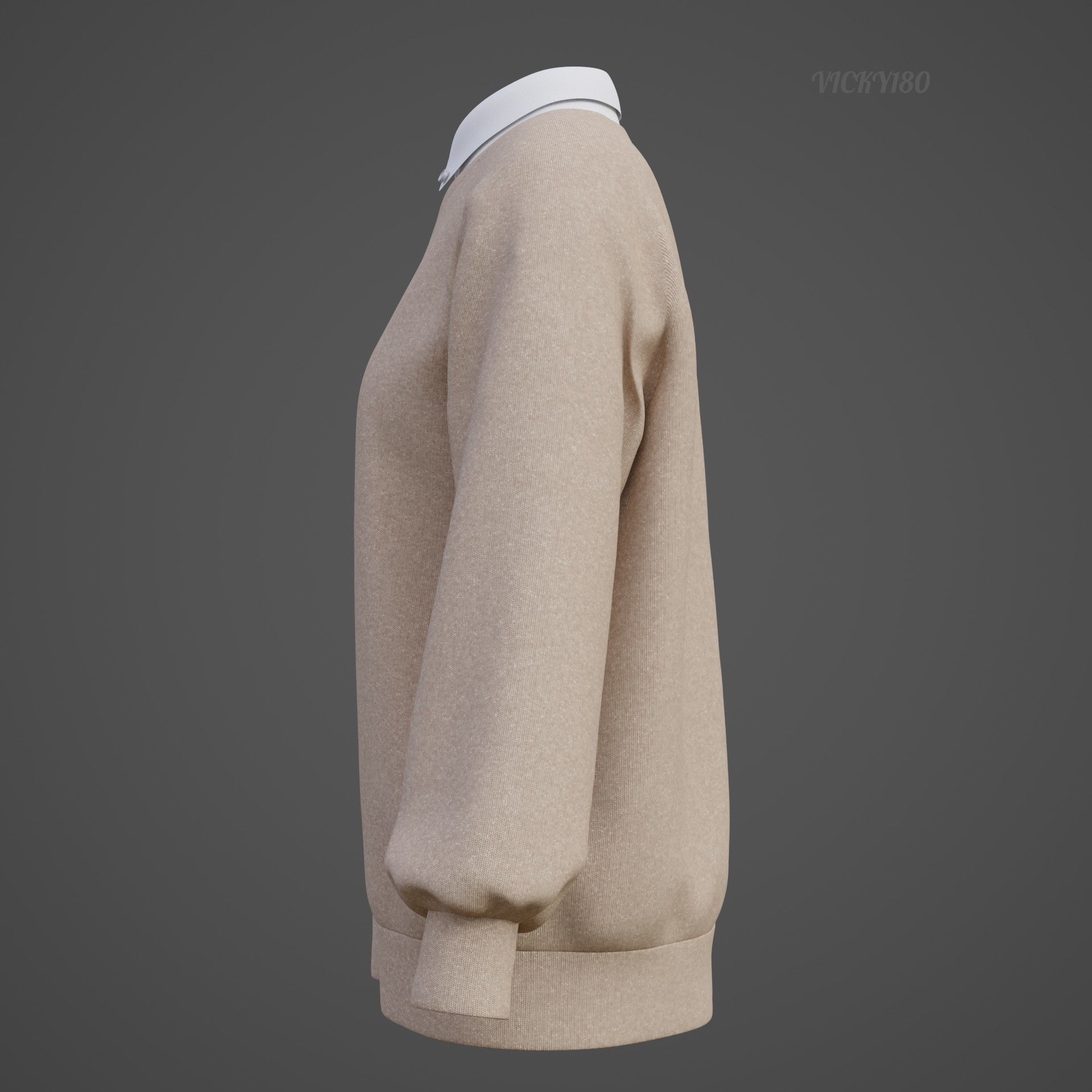 Sweater  and Collared Shirt - Knit Pullover wear formal clothing 3D model_24