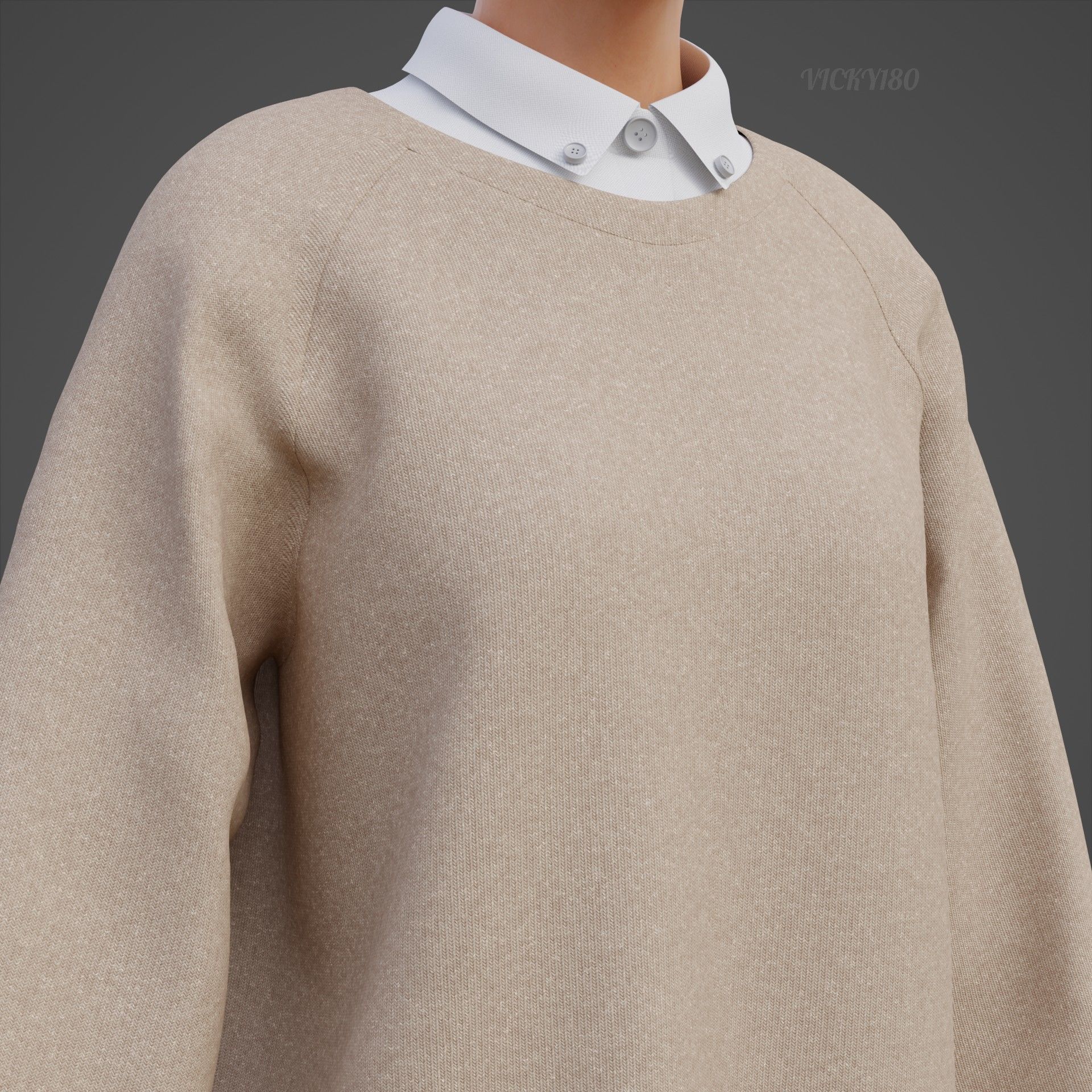 Sweater  and Collared Shirt - Knit Pullover wear formal clothing 3D model_18
