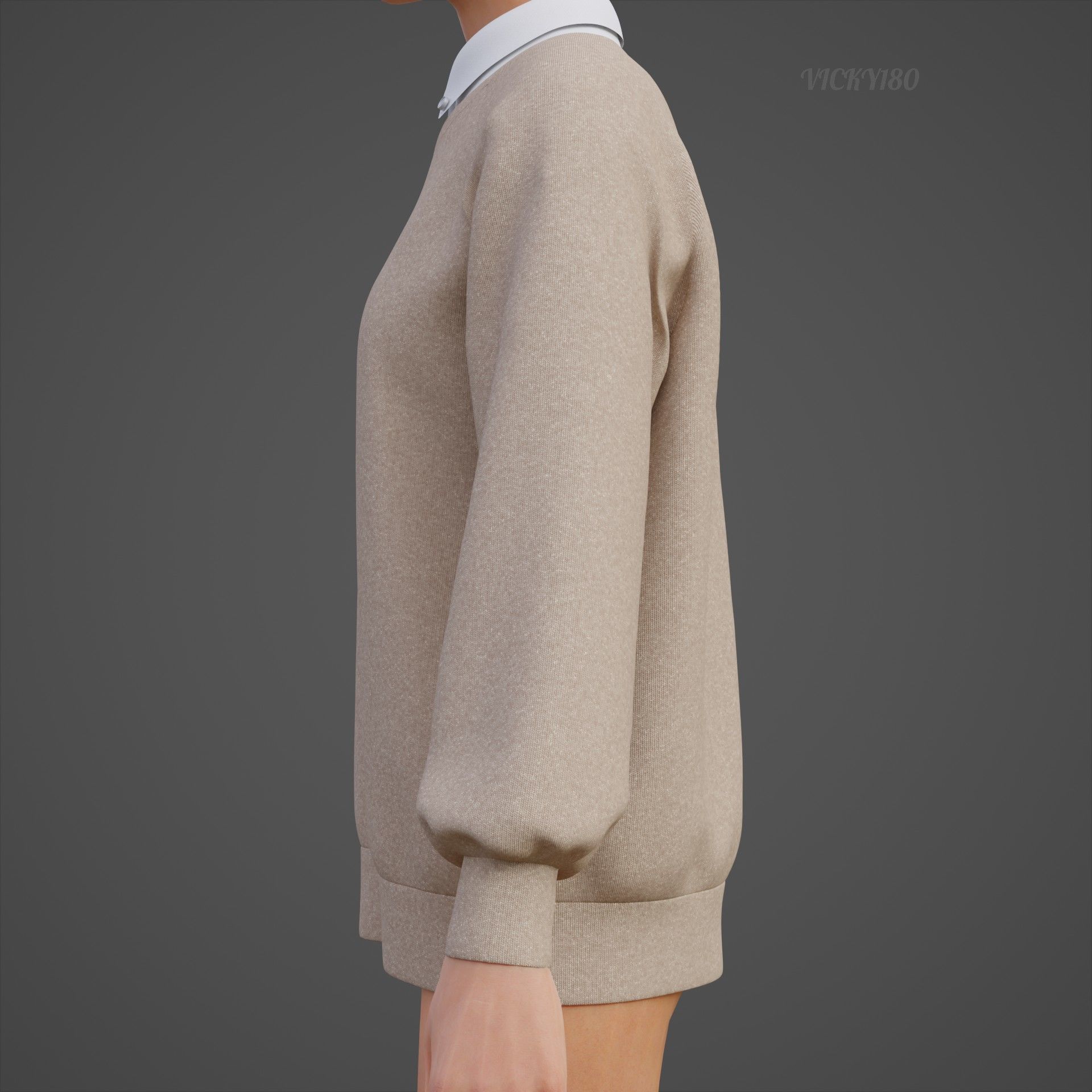 Sweater  and Collared Shirt - Knit Pullover wear formal clothing 3D model_13