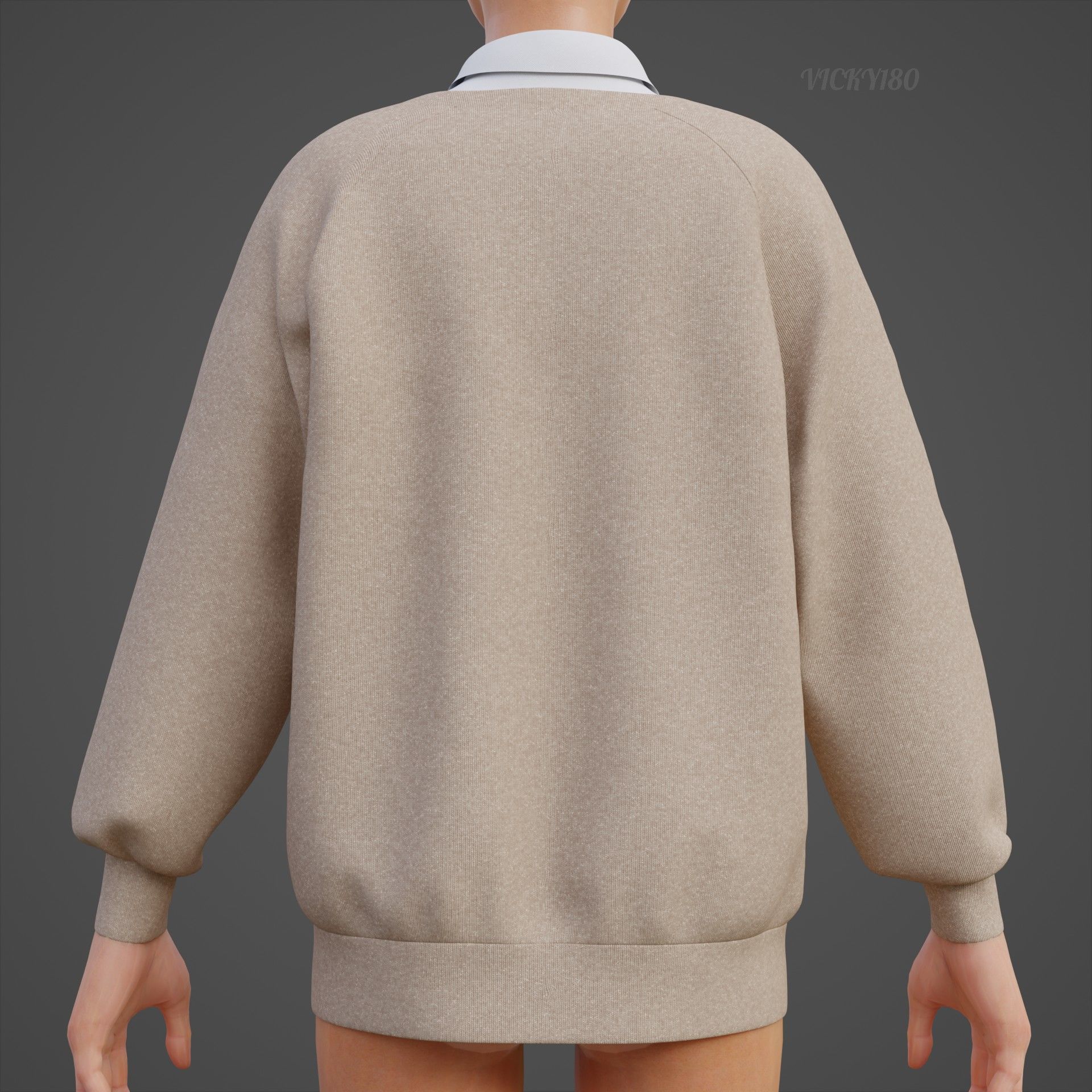 Sweater  and Collared Shirt - Knit Pullover wear formal clothing 3D model_12