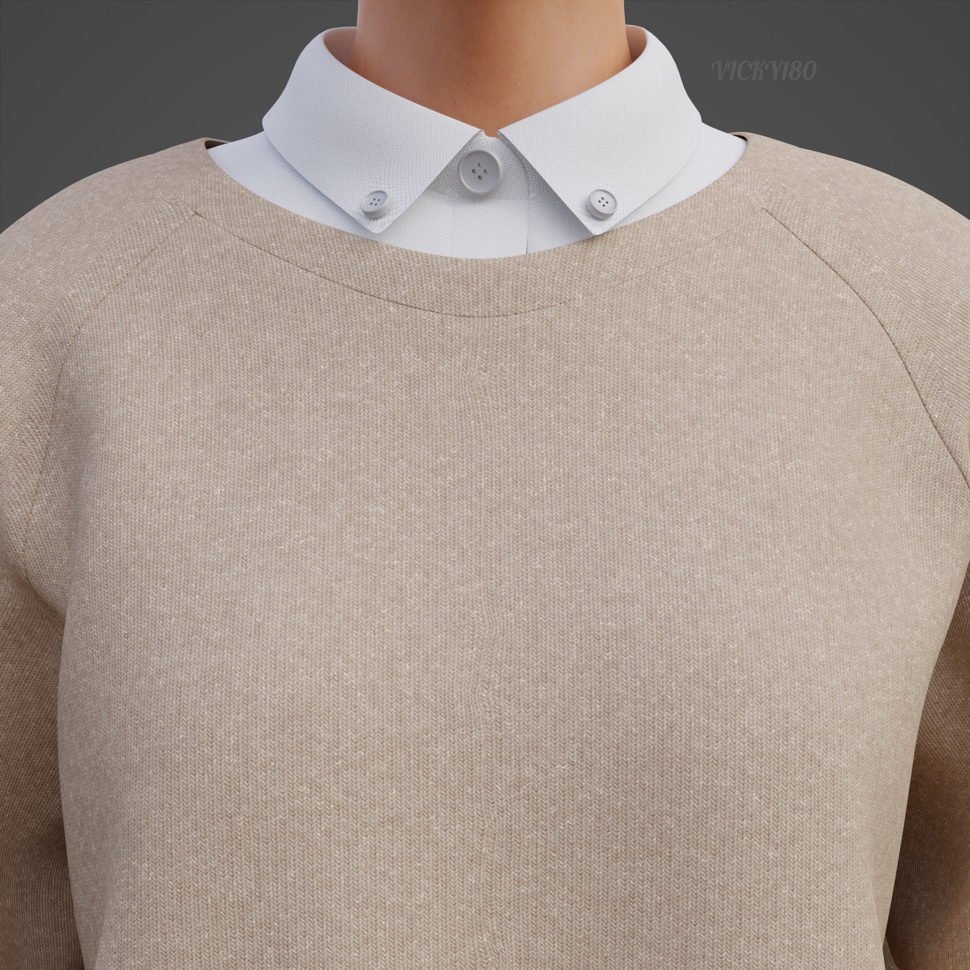 Sweater  and Collared Shirt - Knit Pullover wear formal clothing 3D model_17