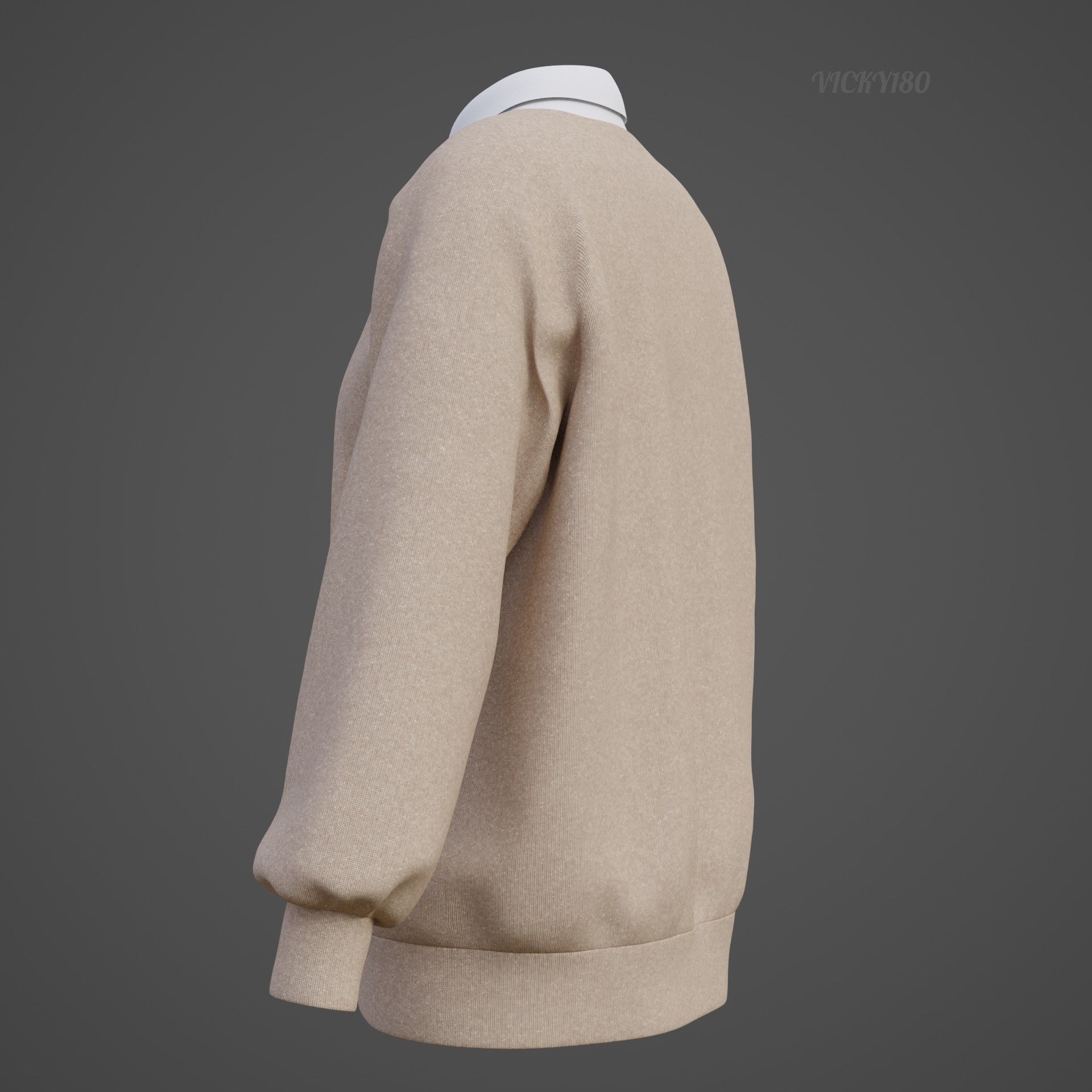 Sweater  and Collared Shirt - Knit Pullover wear formal clothing 3D model_30