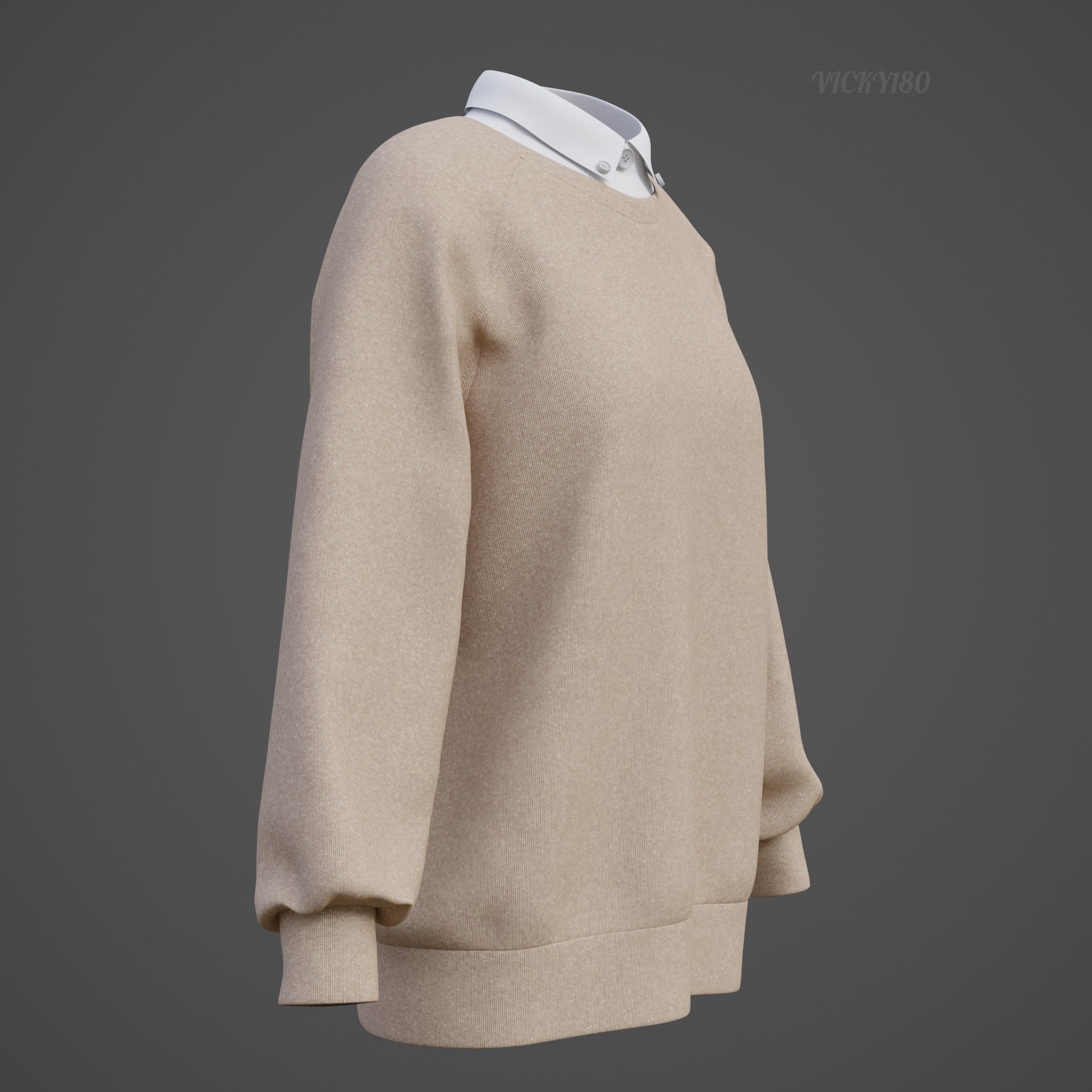 Sweater  and Collared Shirt - Knit Pullover wear formal clothing 3D model_25